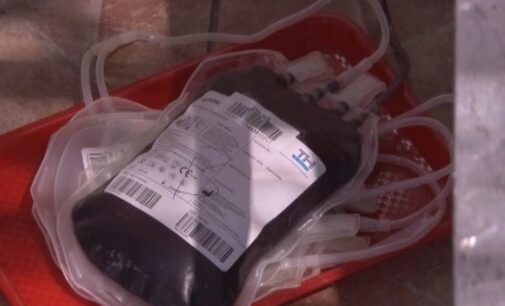 Veliki odziv Brusjana na prvoj ovogodišnjoj akciji dobrovoljnog davanja krvi