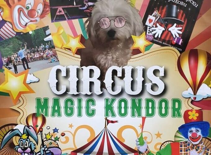 Predstava cirkusa Magic Kondor u Centru za kulturu Brus