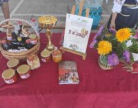Prva nagrada za jela Živadinke Čajić na Poljoprivrednom sajmu u Kruševcu