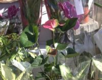 Najlepši cvetni aranžmani za dame povodom 08. marta