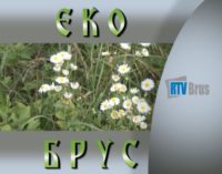EkoBrus – za čistiju Rasinu i jezero Ćelije (emisija br.15)