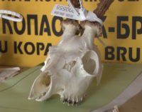 Počela lovna sezona