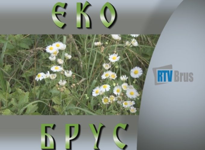 EkoBrus – za čistiju Rasinu i jezero Ćelije (emisija br.5)