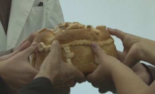 U Domu zdravlja Brus obeležena slava lekara
