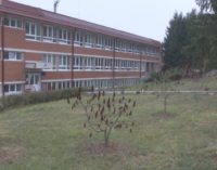 Obeležen  Međunarodni dan srednjoškolaca