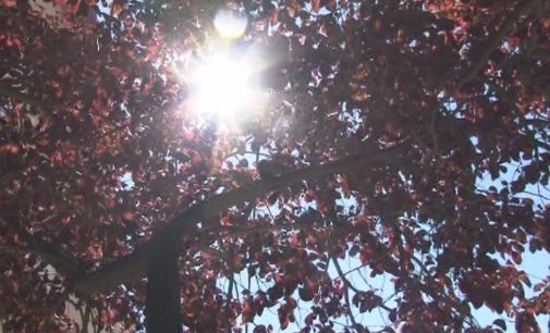 Sunčano i toplo na početku novembra