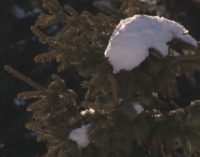 Danas je Svetski dan meteorologije