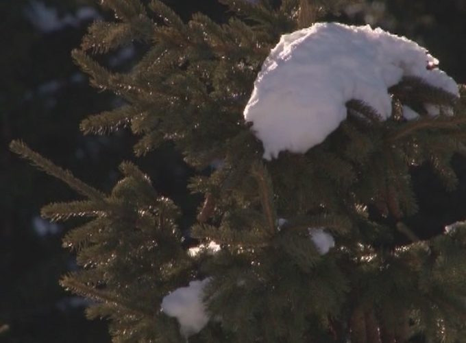 Danas je Svetski dan meteorologije