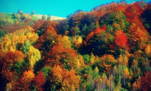 Brusko selo – zalog za budućnost 18: Belo Polje, Bozoljin, Boranci, Vitoše