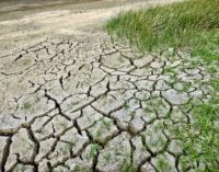 Svetski dan klimatskih promena