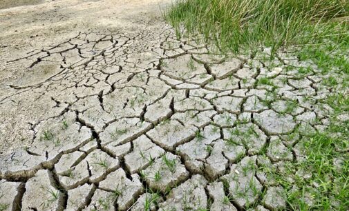 Svetski dan klimatskih promena