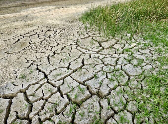Svetski dan klimatskih promena