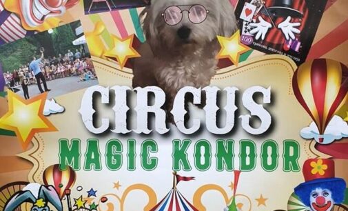 Predstava cirkusa Magic Kondor u Centru za kulturu Brus