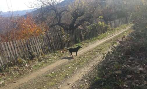 U toku su radovi na sanaciji seoskih puteva