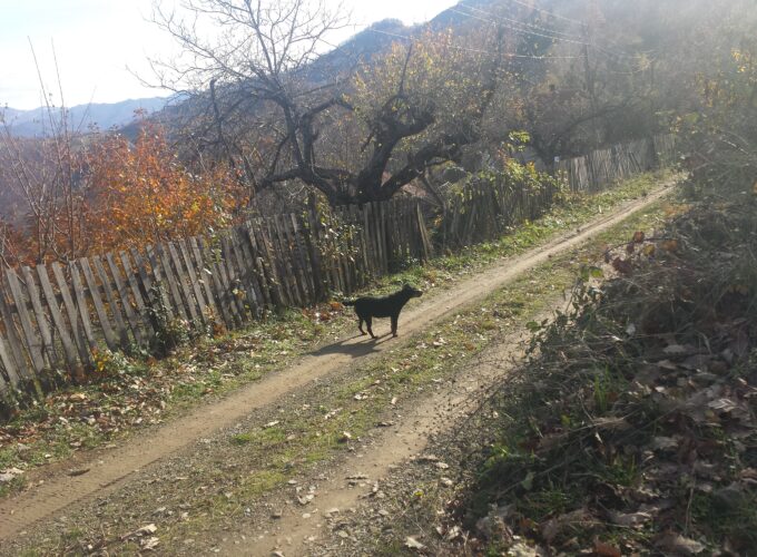 U toku su radovi na sanaciji seoskih puteva
