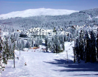 Ski centar Kopaonik biće otvoren za praznike