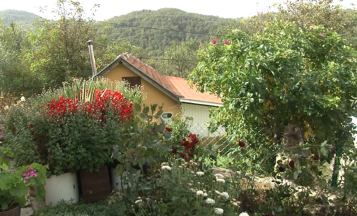 O aktuelnim podsticajima u seoskom turizmu