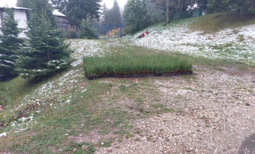 Akcija pošumljavanja u Ski centru Kopaonik