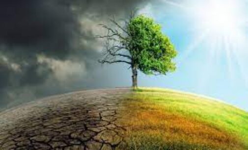 Danas je Svetski dan klimatskih promena