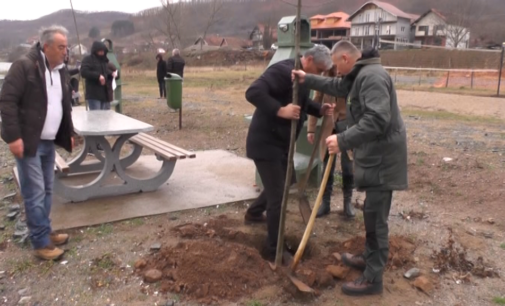 Prokuplje doniralo stotinu sadnica bresta i jasena za obalu jezera Ćelije