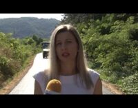 Novi asfalt u Mesnoj zajednici Milentija