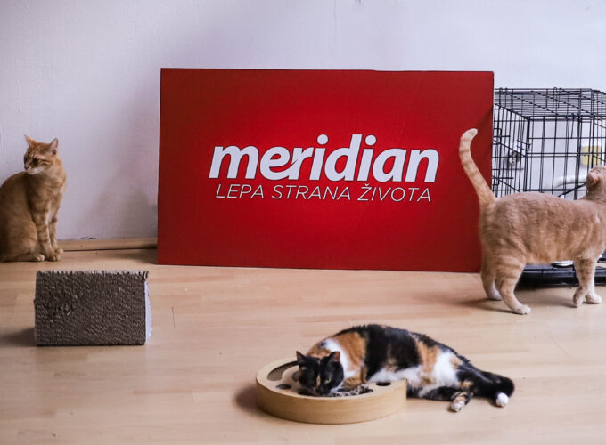 BUDIMO HUMANI: Kompanija Meridian i tokom letnjih vrućina vodi brigu o ugroženim životinjama