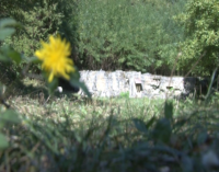 SAČUVAJMO PROŠLOST ZA BOLJU BUDUĆNOST