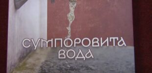 „Sumporovita voda“ Snežene Milojević promovisana u bruskoj biblioteci