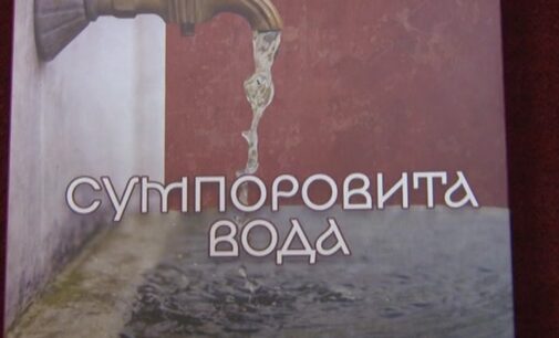 „Sumporovita voda“ Snežene Milojević promovisana u bruskoj biblioteci