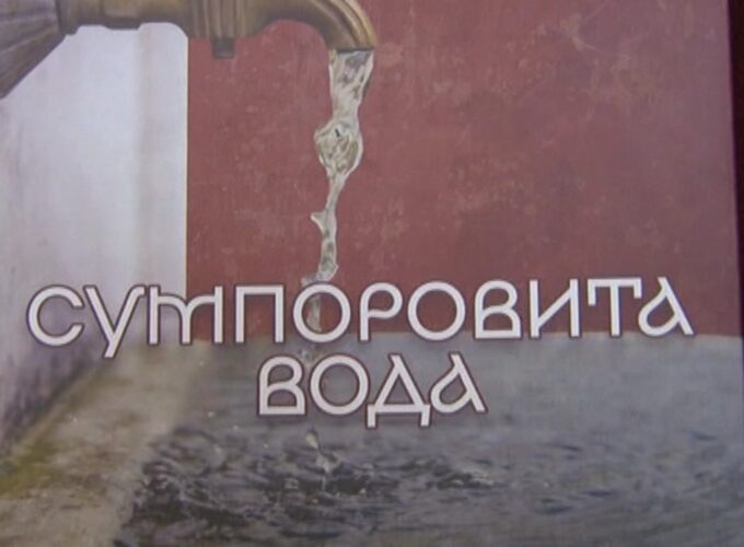 „Sumporovita voda“ Snežene Milojević promovisana u bruskoj biblioteci