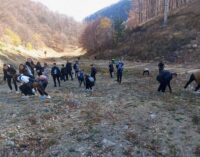 Osnovci i srednjoškolci u akciji čišćenja skijaških staza